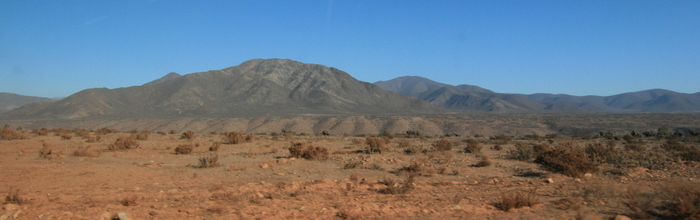 Chili Punta de Choros desert